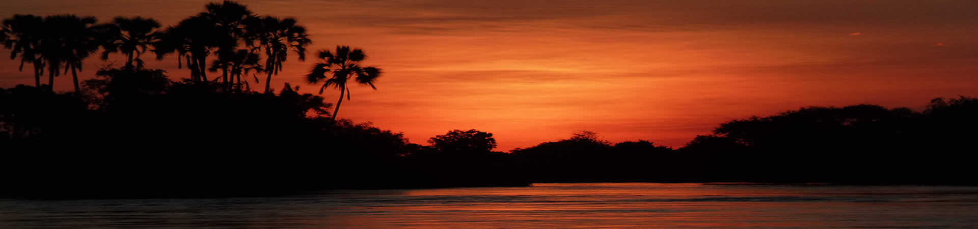 cogwm - africa