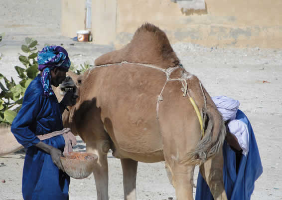 unreached
