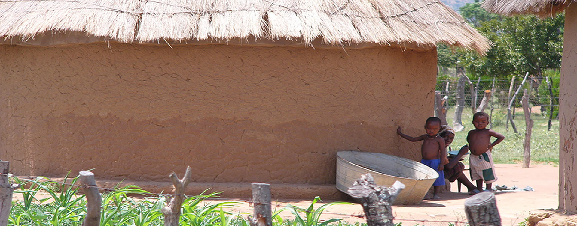 COGWM Africa