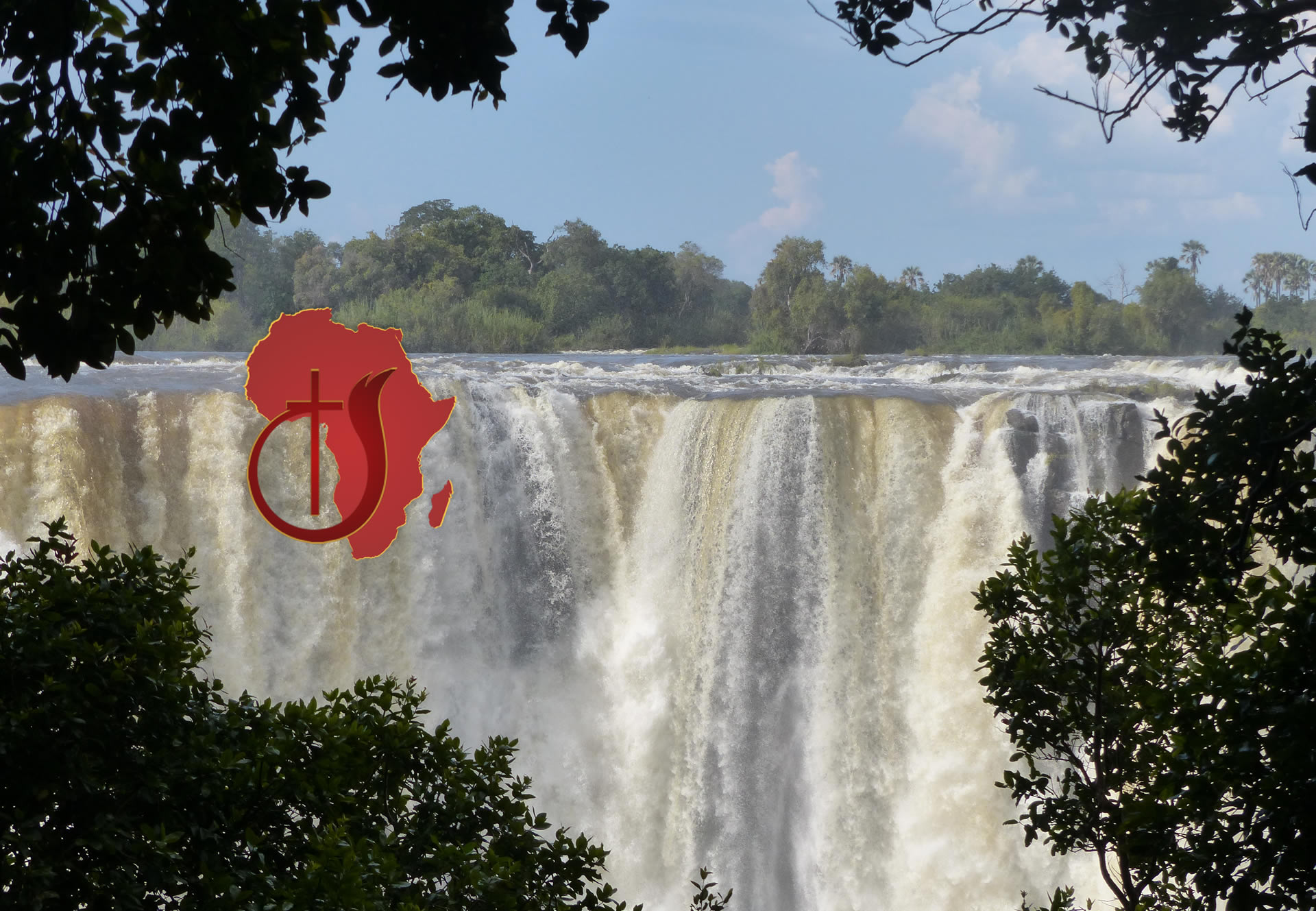 COGWM Africa